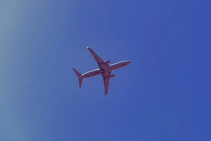 Utair запускает ежедневные вывозные рейсы из Объединённых Арабских Эмиратов
