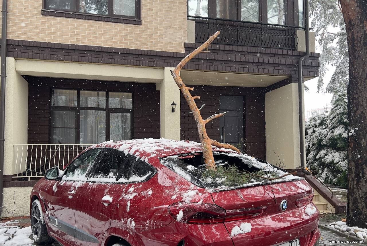 Отключения электричества и сбои в движении поездов: Подмосковье и Москва борются с последствиями непогоды