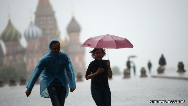 В Московском регионе ночью 29 мая могут ударить заморозки