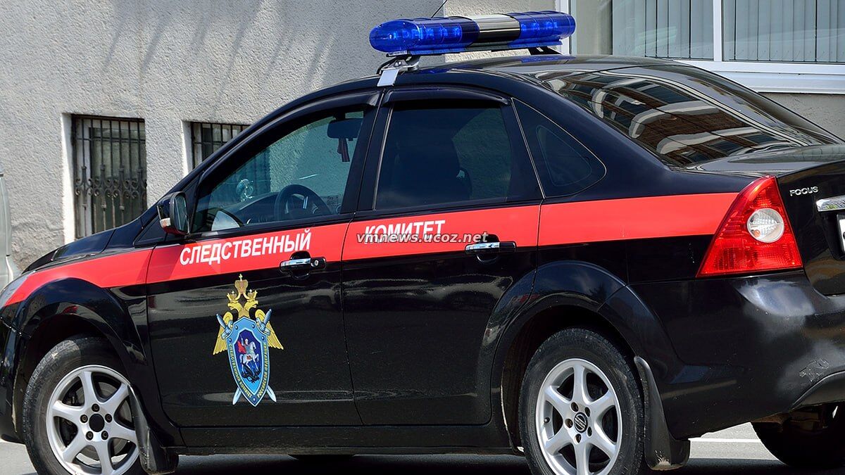 В Москве СК расследует дело о маленькой девочке, оказавшейся с пьяной парой