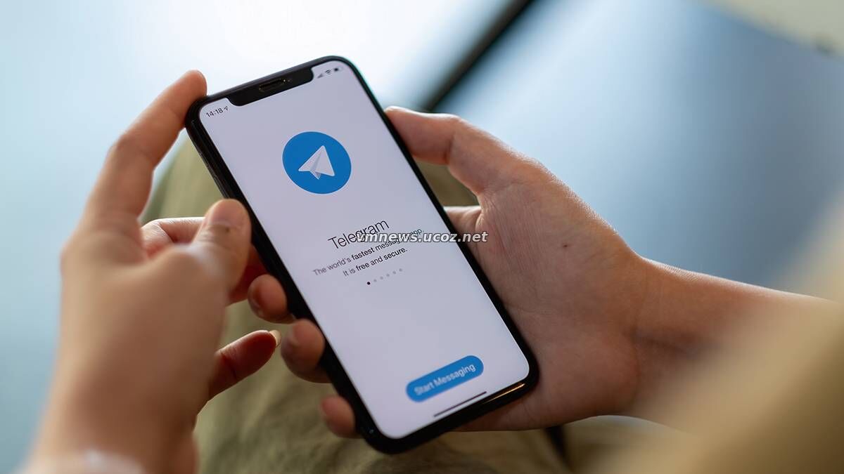 Мизулина предупредила о новом виде взлома аккаунтов в Telegram