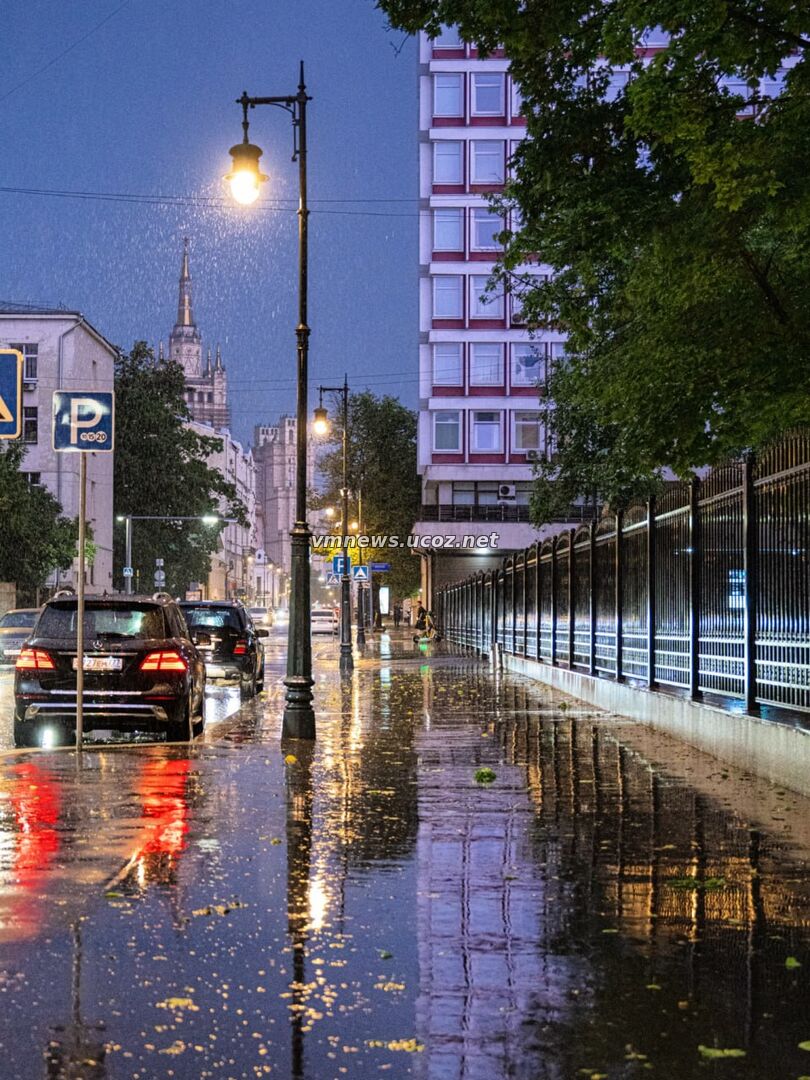 Погода в Москве на следующей неделе: дожди, перепады температуры и порывистый ветер