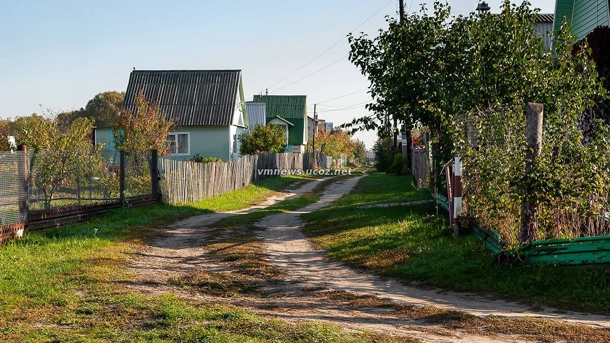 Дачникам в Подмосковье запретили самостоятельно ремонтировать дороги
