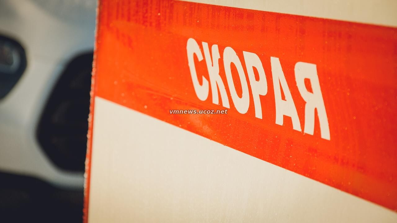 ТАСС: Медведь напал на палатку в селе Артыбаш, утащил женщину в лес, съел ее конечности и закопал
