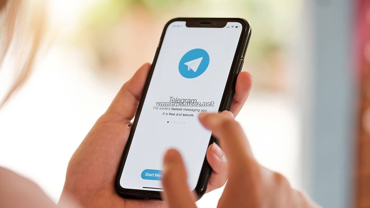 Telegram оштрафовали на 3,8 млн рублей за неудаление каналов с ответами к ЕГЭ и ОГЭ