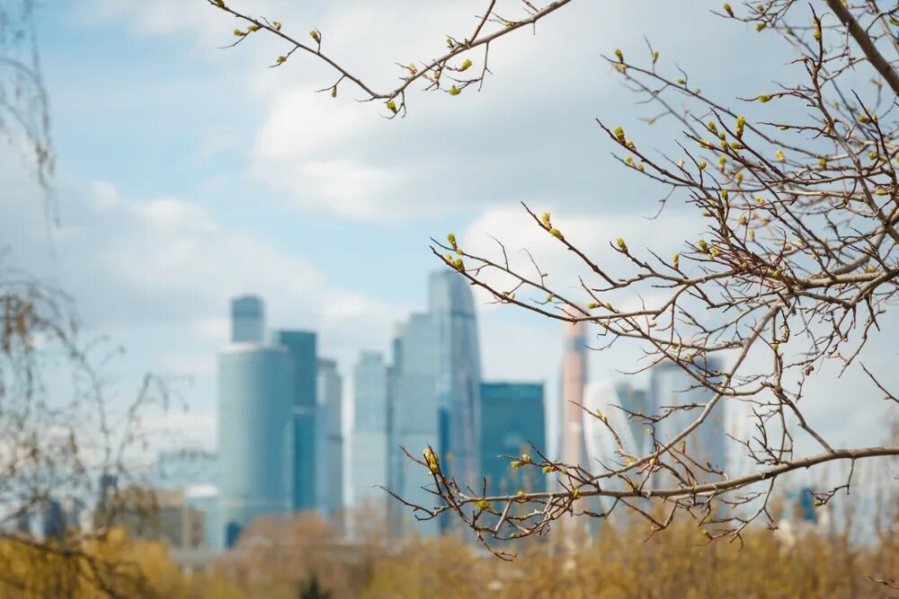 В Москве и Подмосковье 1 апреля потеплеет до +21 °C