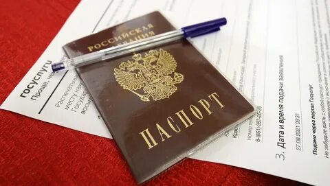 В Госдуме предложили ввести вход в интернет по паспорту