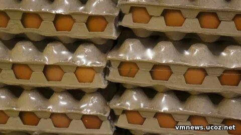 ФАС: яйца в России начнут дешеветь