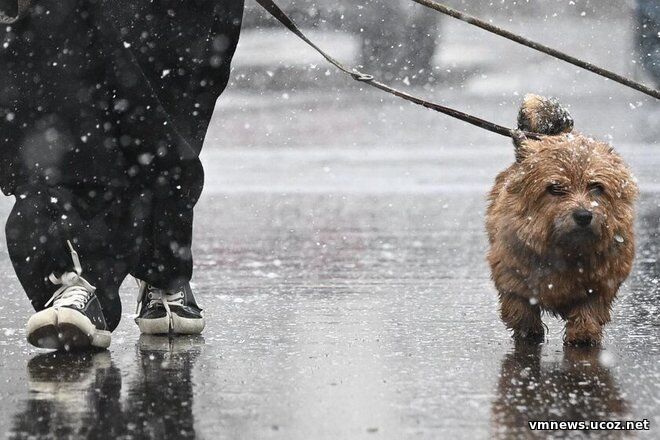 Снег и мороз до −3 °C ожидаются в Москве и области этой ночью