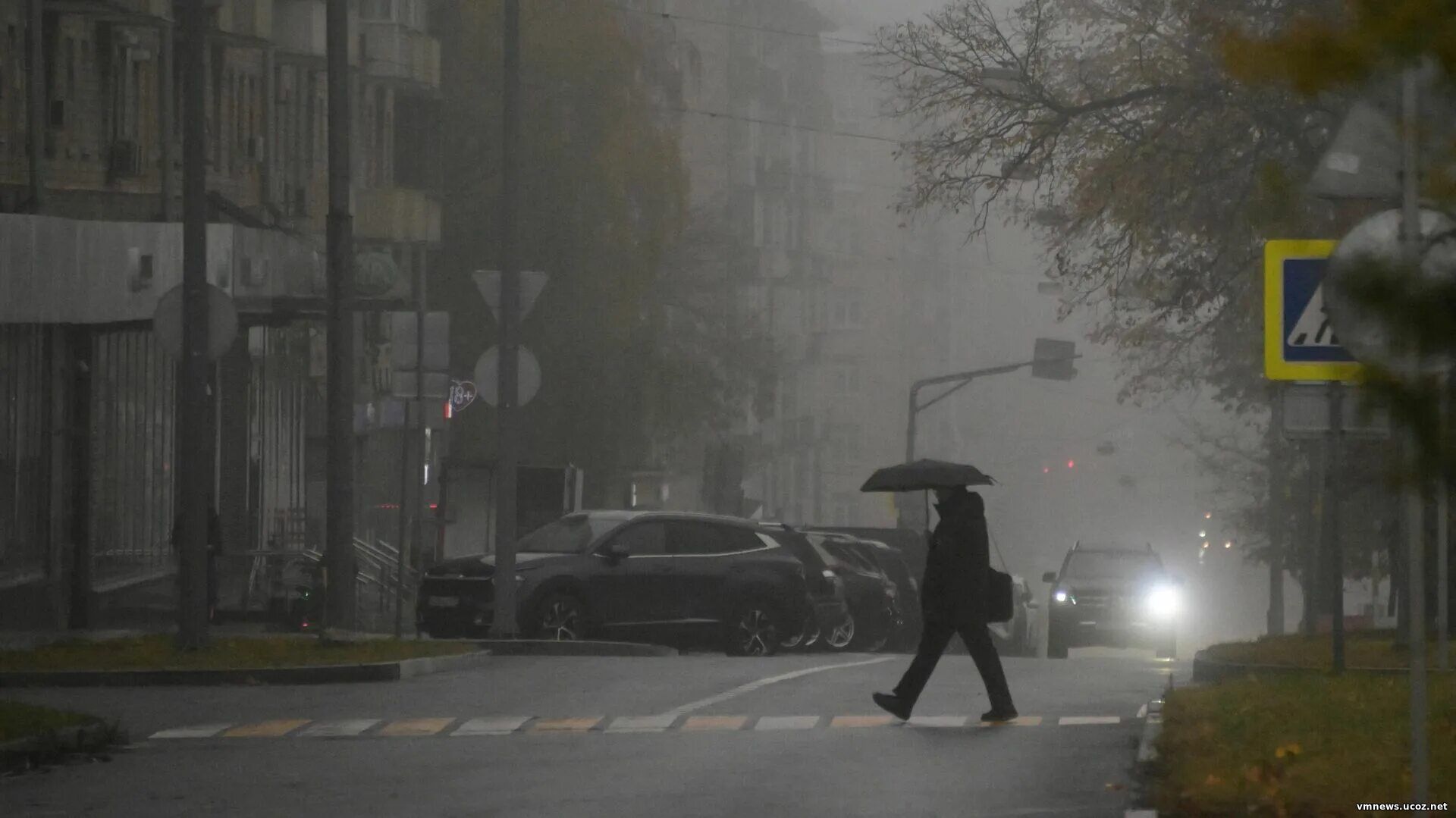 В Московском регионе объявлен жёлтый уровень погодной опасности из‑за тумана